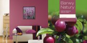 Salon, paleta kolorów Barwy natury